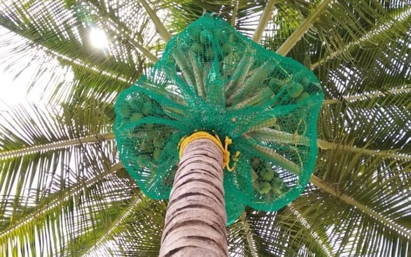 IT Consulting & Support